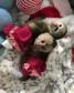Lovely Capuchin Monkeys for Sale   in Doha Qatar