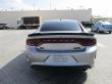 Dodge  2014 in Doha Qatar